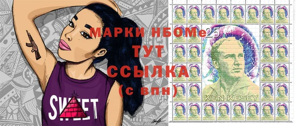 соль ск Арсеньев