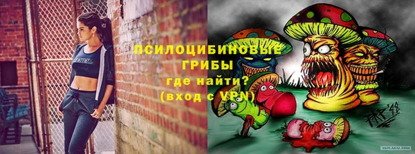 гидропоника Балахна