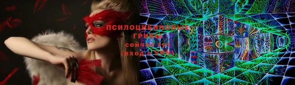 дживик Навашино