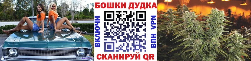 Марихуана SATIVA & INDICA  Полевской 
